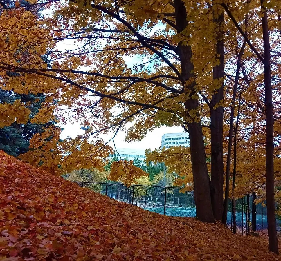 Pan Pacific Toronto Ξενοδοχείο